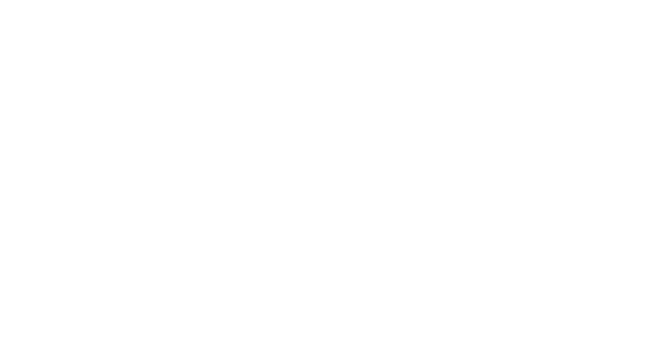 楽しみ方を